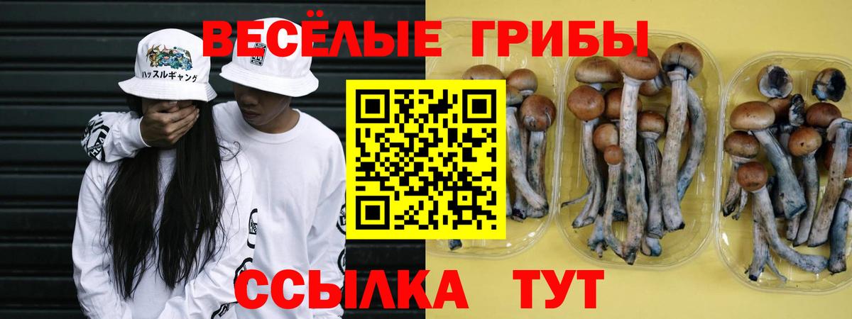 Псилоцибиновые грибы прущие грибы Татарск